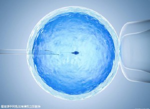 卵子凍結保存